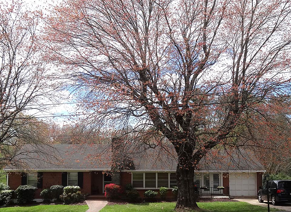 1st image of 117 Middleboro Pl