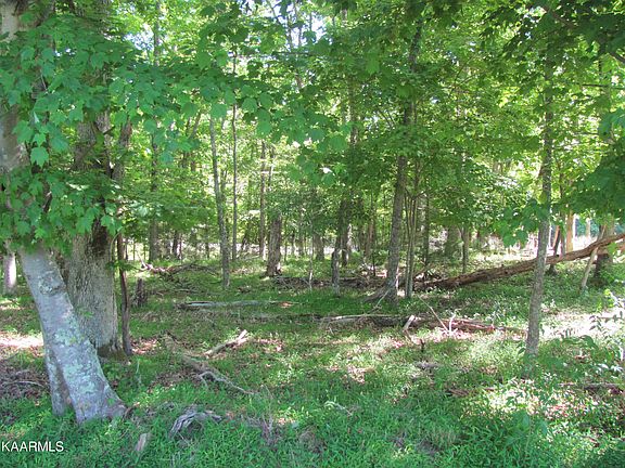 3rd image of 113 Forest Hill Dr