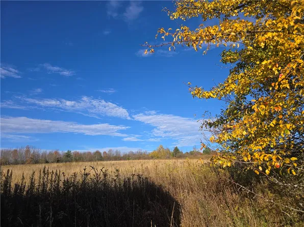 476 Hopkins Crandall Rd, Smyrna, NY 13464