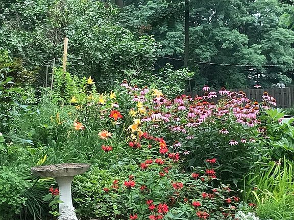 Front gardens