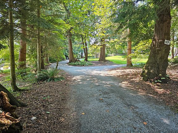 Driveway up to home. (Two driveways, one that leads to the attached 2-car garage and the other that leads up to the front door).