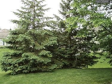 5th image of 8500 Waterside Dr