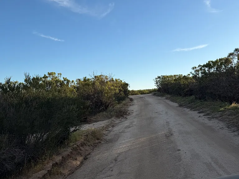 51359 Ruggles Ranch Rd — Photo 4