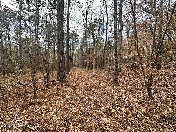 3rd image of Ward Rd