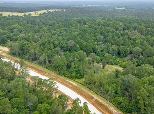 LOT 4 Elmore Dr, Willis, TX 77318