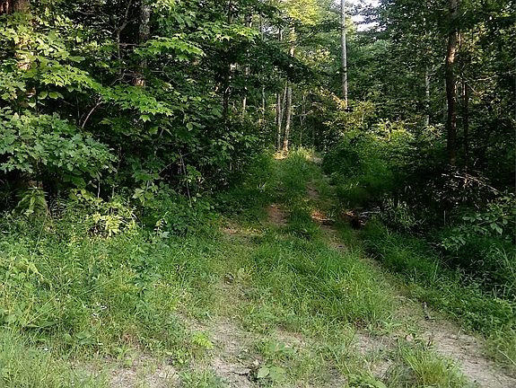 2nd image of Highway 1693