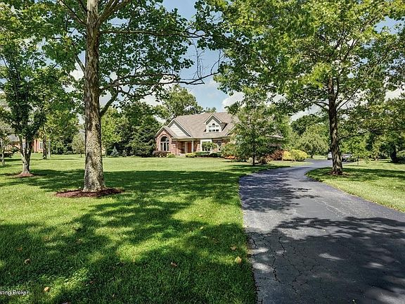 Treed Driveway