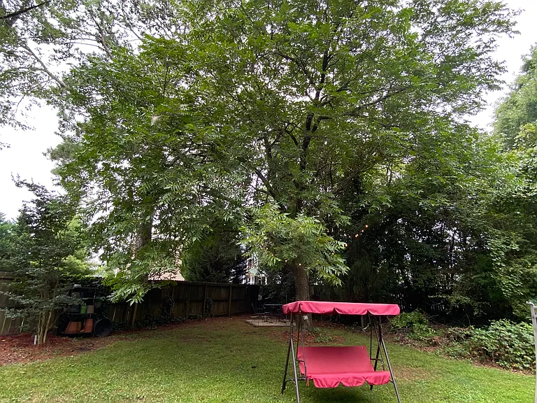 Large pecan tree that is loaded with pecans every year. A cookout grill and picnic area situated underneath