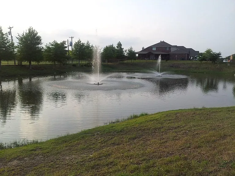 Pond