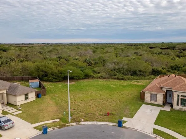 7970 Texan Palmetto Cir, Brownsville, TX 78521