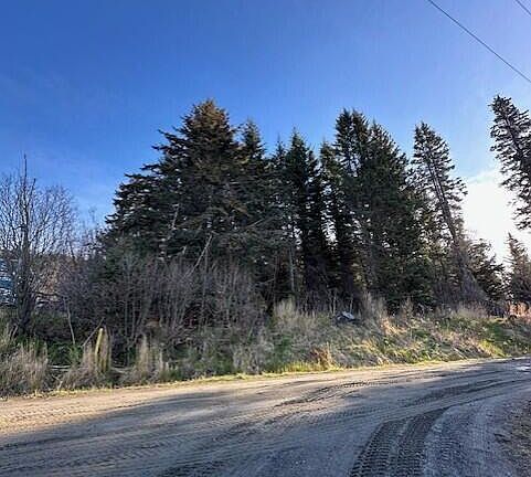 5th image of 2238 Mount Augustine Dr