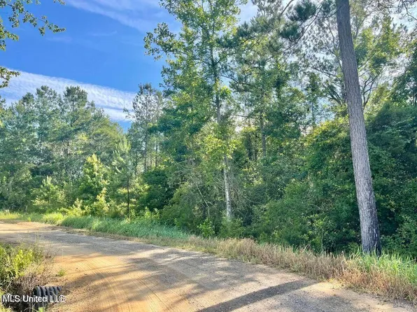 Ferrell Ln, Leakesville, MS 39451