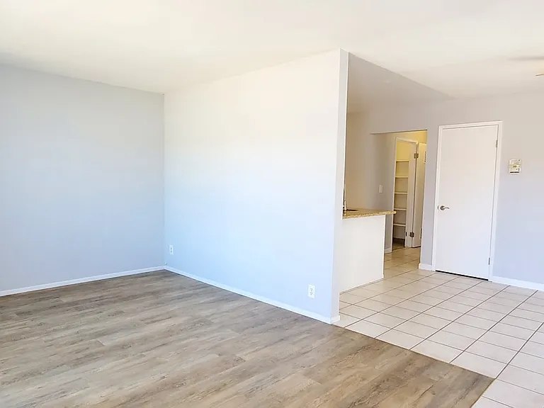 33225 Lake Champlain Ct — Photo 6