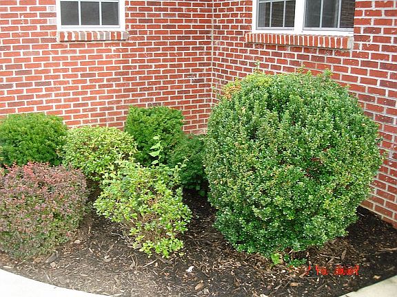 4th image of 563 Thoroughbred Dr NW