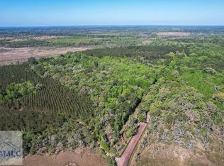 0 Cay Creek Rd, Midway, GA 31320