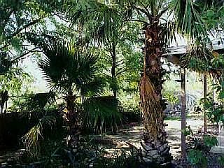 4th image of 9401 N Albatross Dr #0