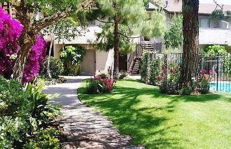 Amber Pines Courtyard