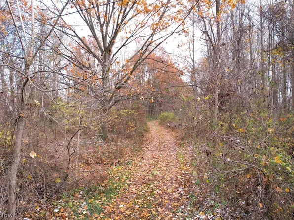 John Thomas Rd, Ravenna, OH 44266