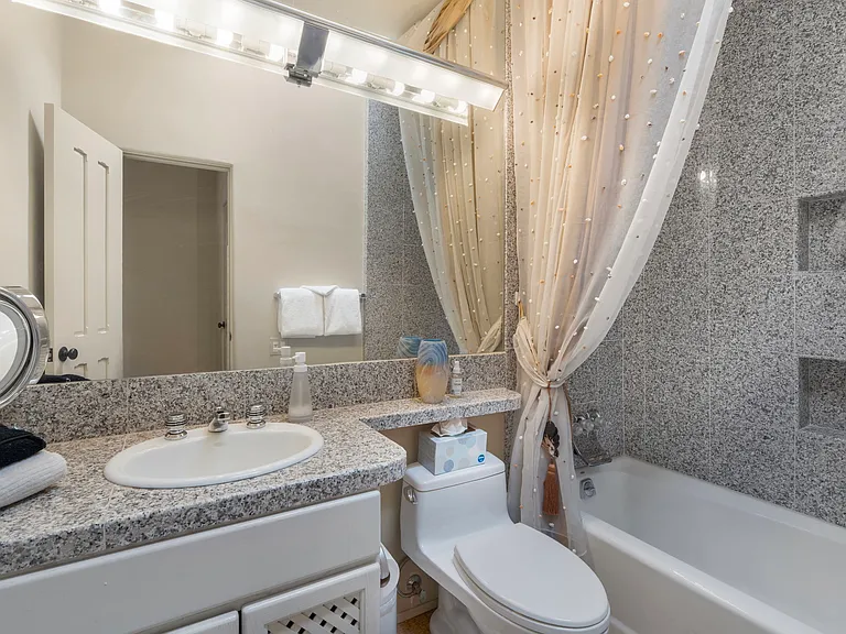 Bathroom Two / Tub Shower Combo