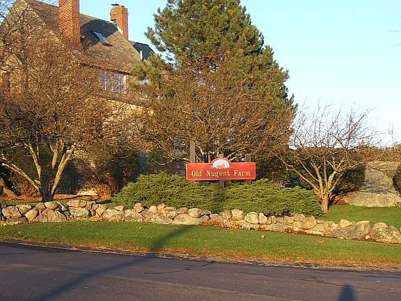 Views of Good Harbor Beach