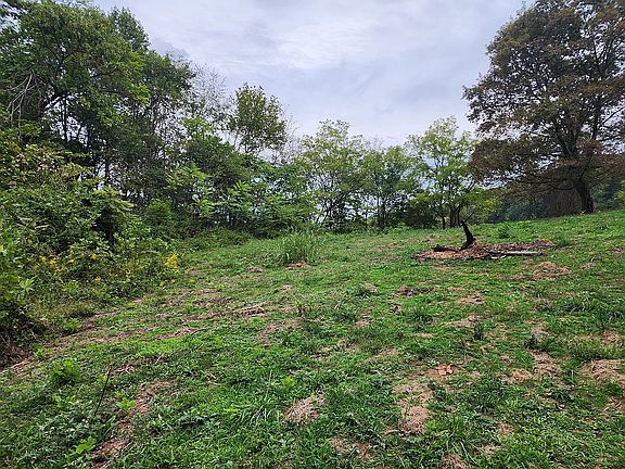 4th image of 2628 Blazier Rd