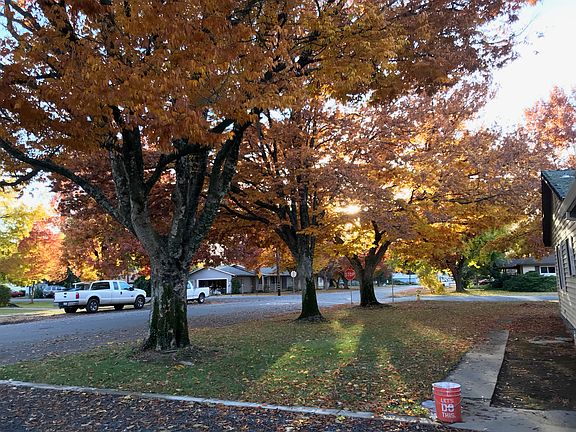 Portion of front yard