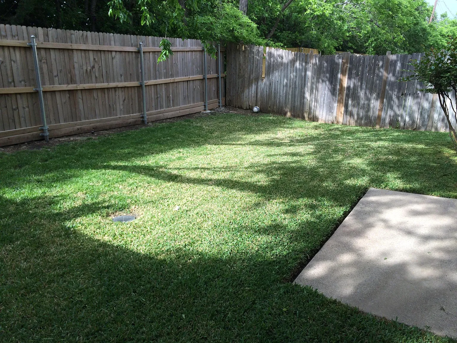 3 bed, 1575 sqft, $2,400 — Photo 2