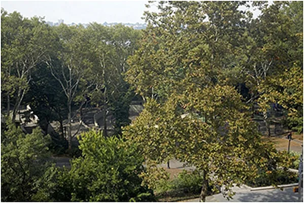 Rented by Brown Harris Stevens | media 2