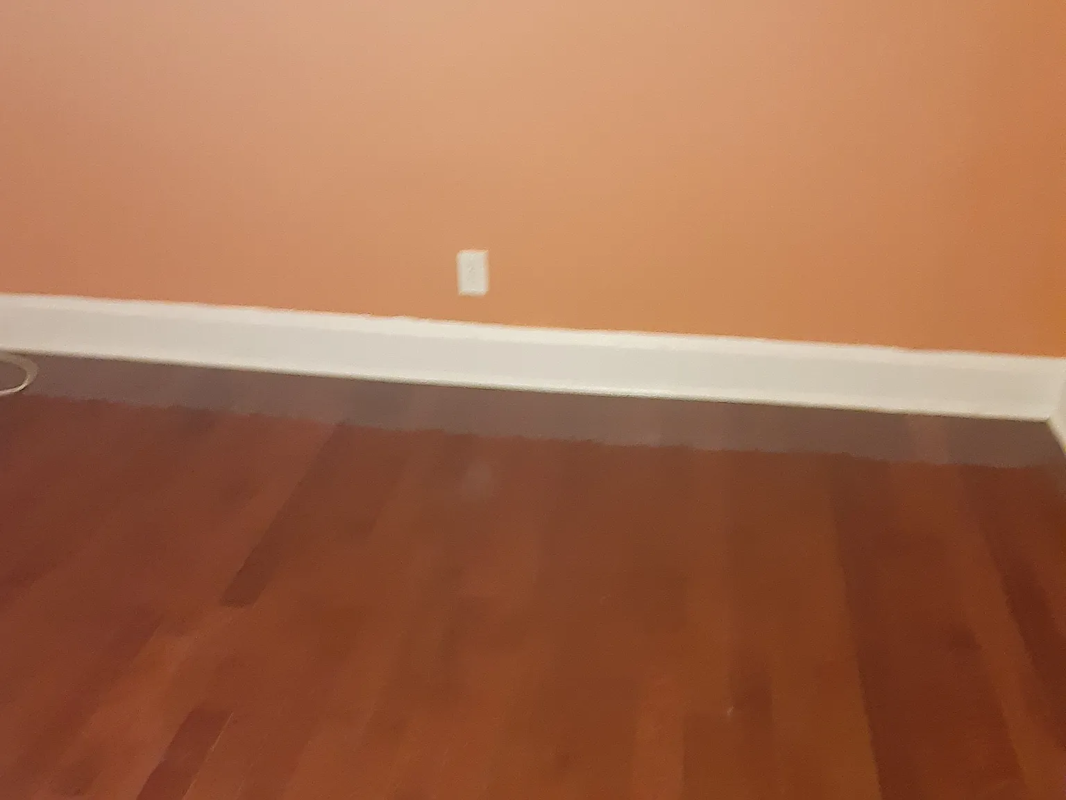 3 bed, 1.5 bath, 1500 sqft, $3,000 — Photo 4