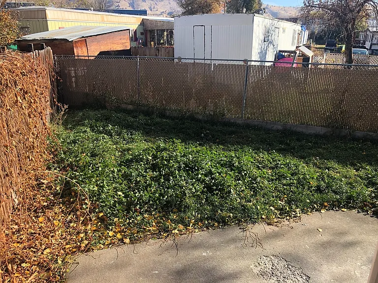 1501 Arthur St #4 — Photo 14