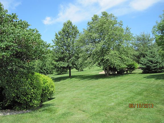 Backyard View