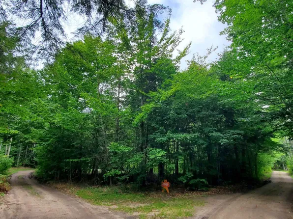 Summer Homes Rd, Au Train, MI 49806