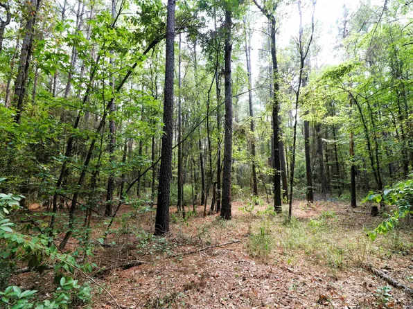 2625 Fm, Hallsville, TX 75650