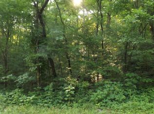 Blue Springs Rd, Speedwell, TN 37870