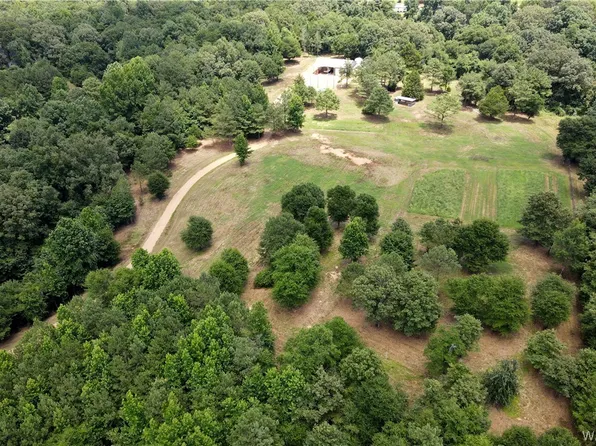 12441 Lesueur Rd, Northport, AL 35475