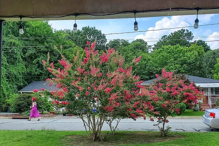 View from front porch