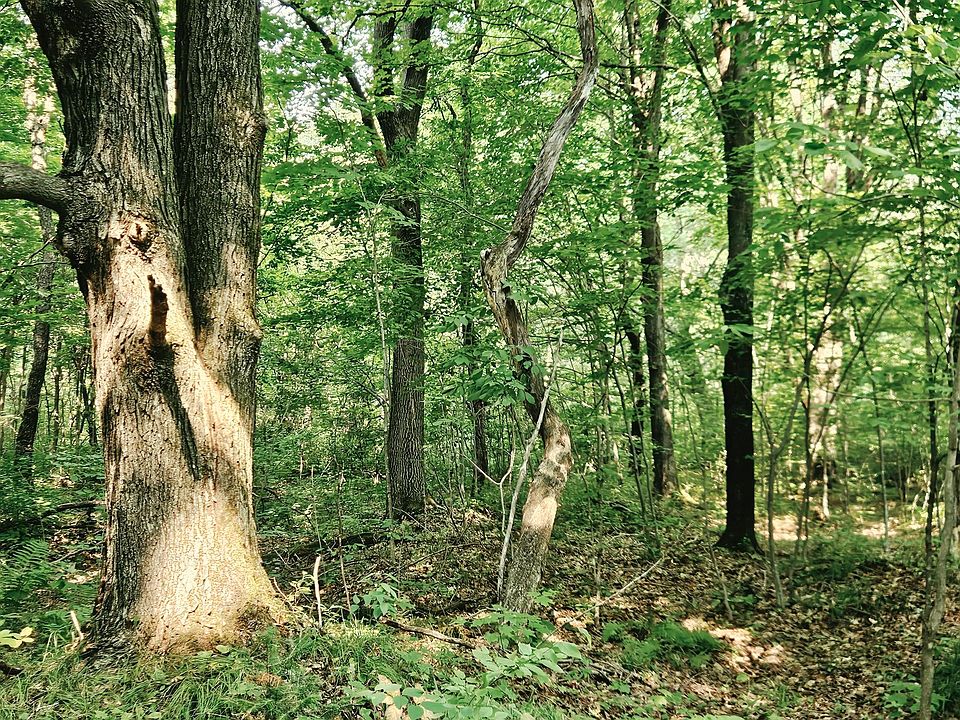 1st image of Off Johnson Ave #80ACRES