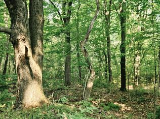 Off Johnson Ave #80ACRES, Brantwood, WI 54513