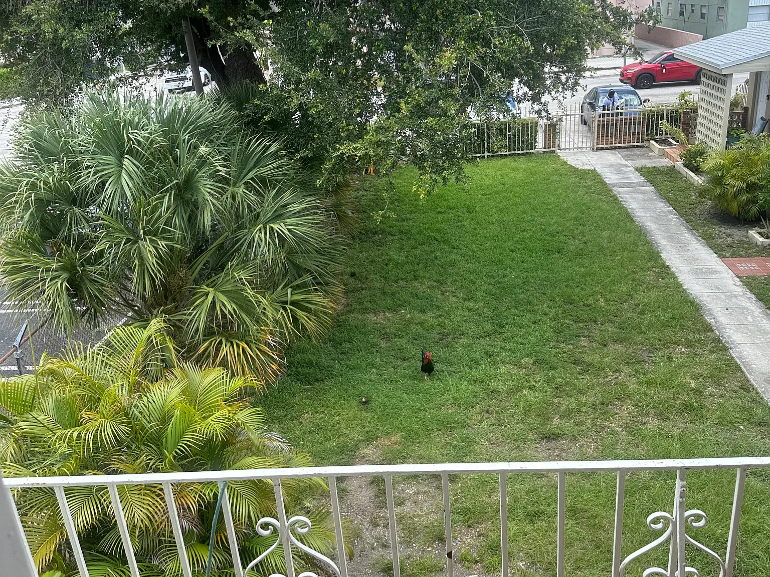 2 bed, $2,400 — Photo 3