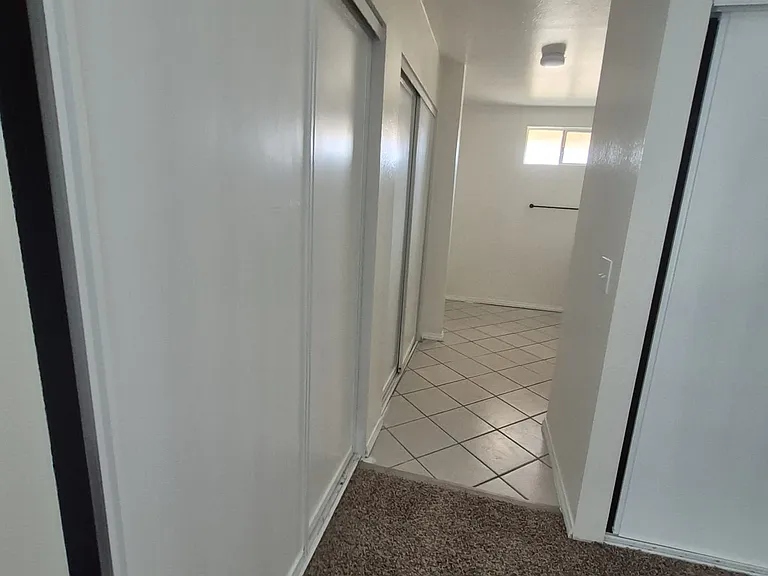 Tiger Ln — Photo 10