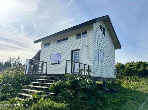51330 Mossberry Ave, Homer, AK 99603
