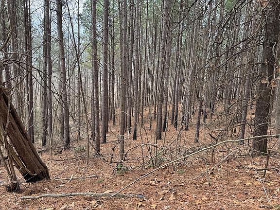 2nd image of 613 Williams Grove Rd