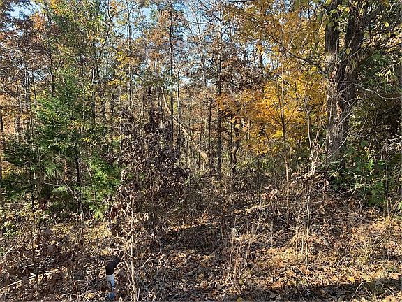 3rd image of Minerty Cir