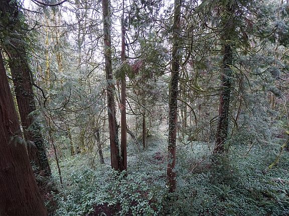 4th image of 5409 SW Multnomah Blvd