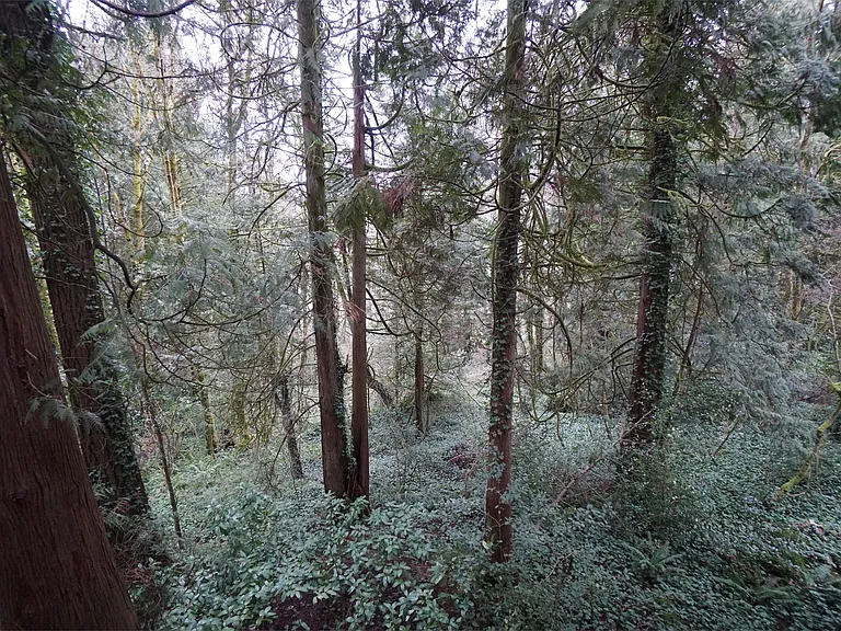 5409 SW Multnomah Blvd — Photo 3