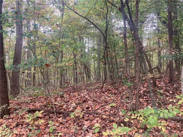 Tract 4 E Pilot Knob Road, Milltown, IN 47145