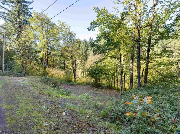 7 Highway 20, Cascadia, OR 97329
