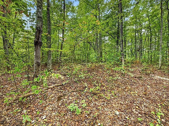 4th image of 0 Timber Ridge Ln Lot 21