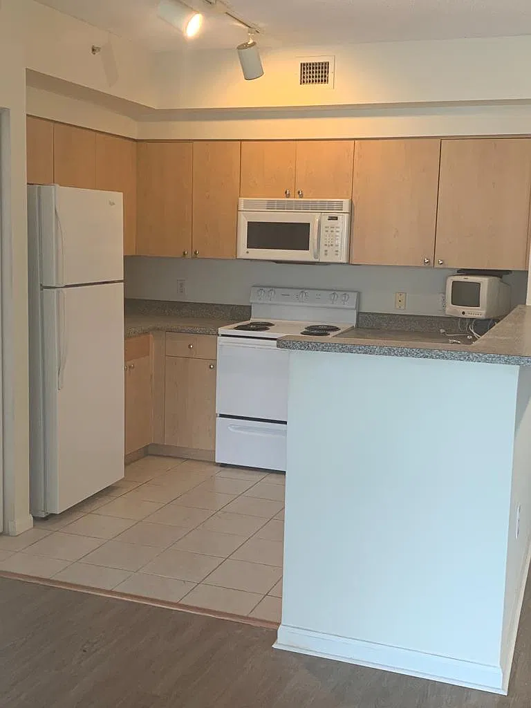 2 bed, 981 sqft, $2,000 — Photo 4