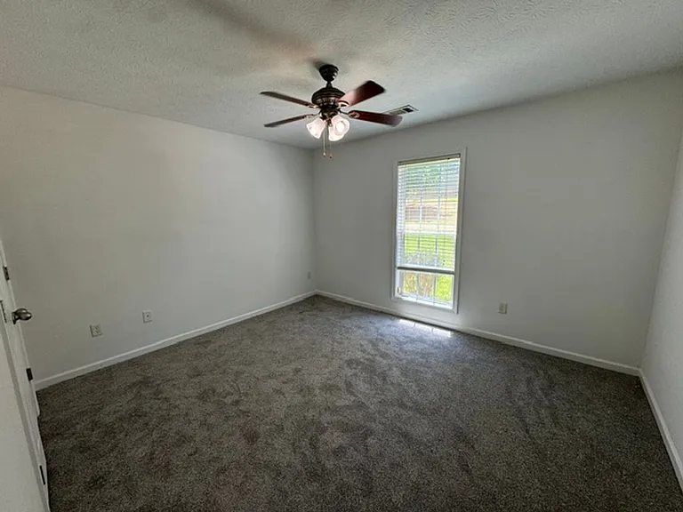 100 Talley Branch Ct — Photo 6